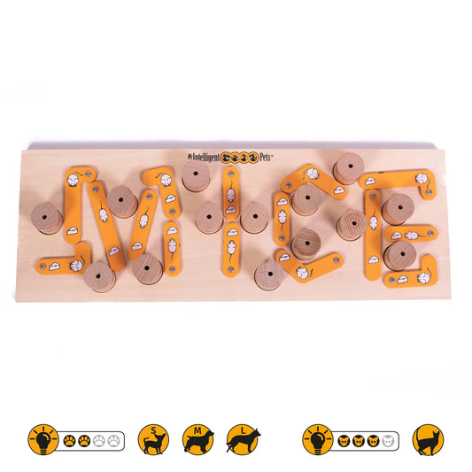 MICE