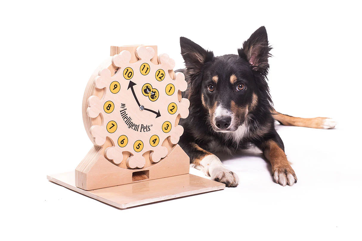 Pet's O’Clock