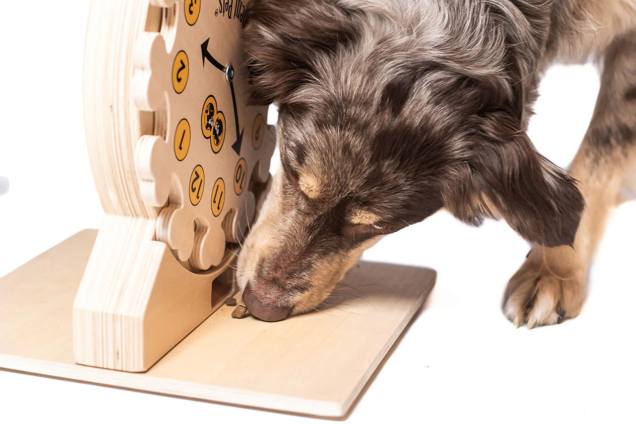 Pet's O’Clock