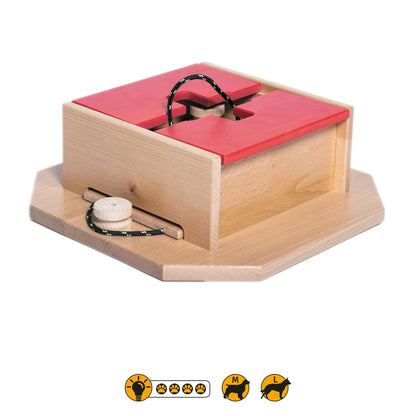 Swiss Qube